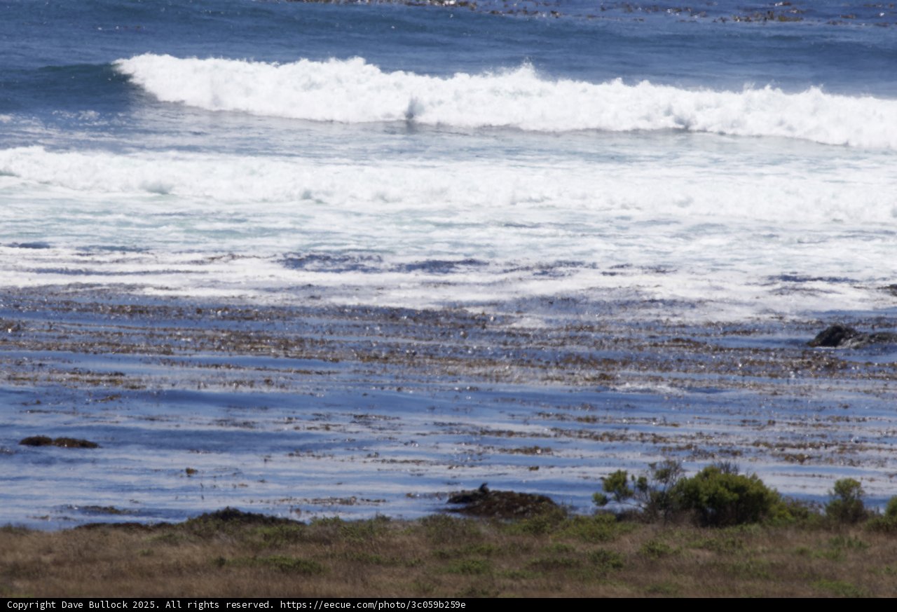Coastal Serenity in Cayucos
