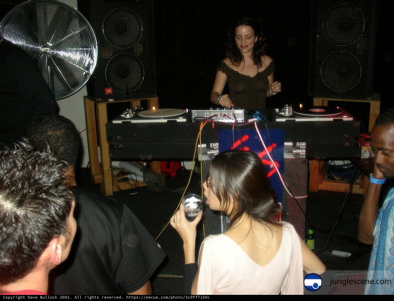DJ and the Crowd
