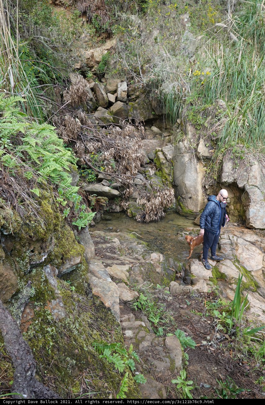 A Hiker and His Canine Companion Traverse Rocky Terrain
