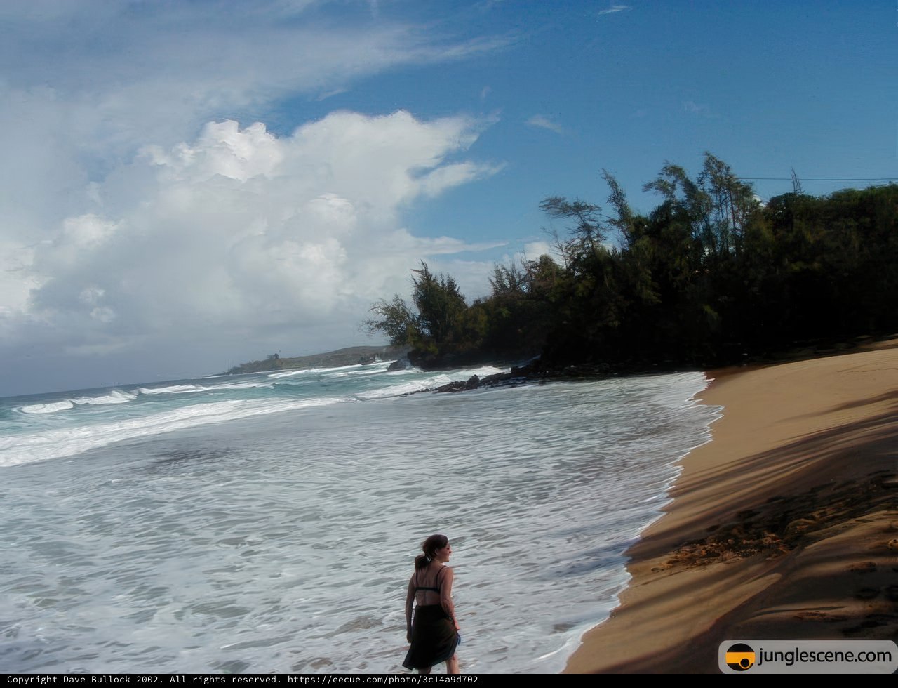 Serene Walking by the Ocean