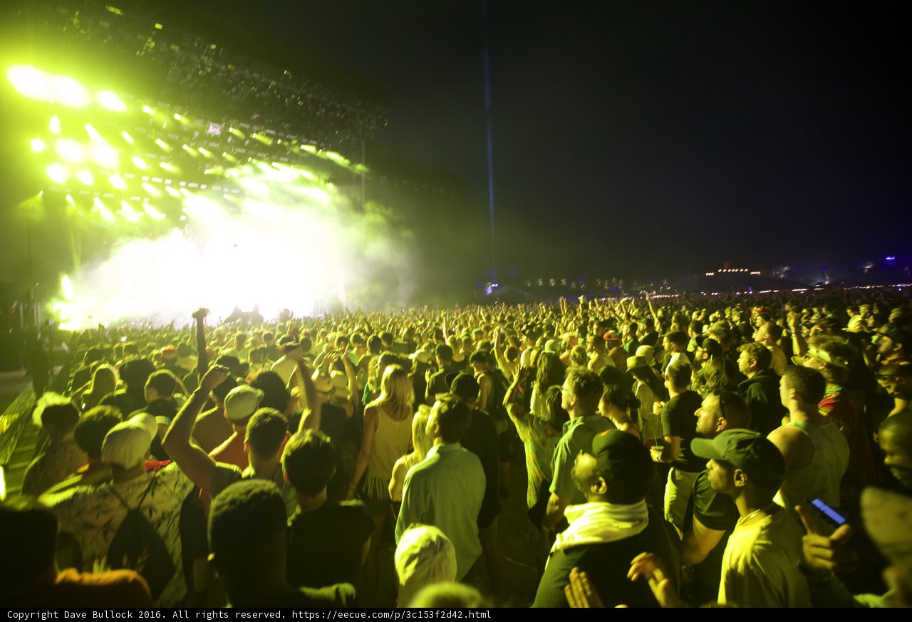 Rocking Out Under the Night Sky