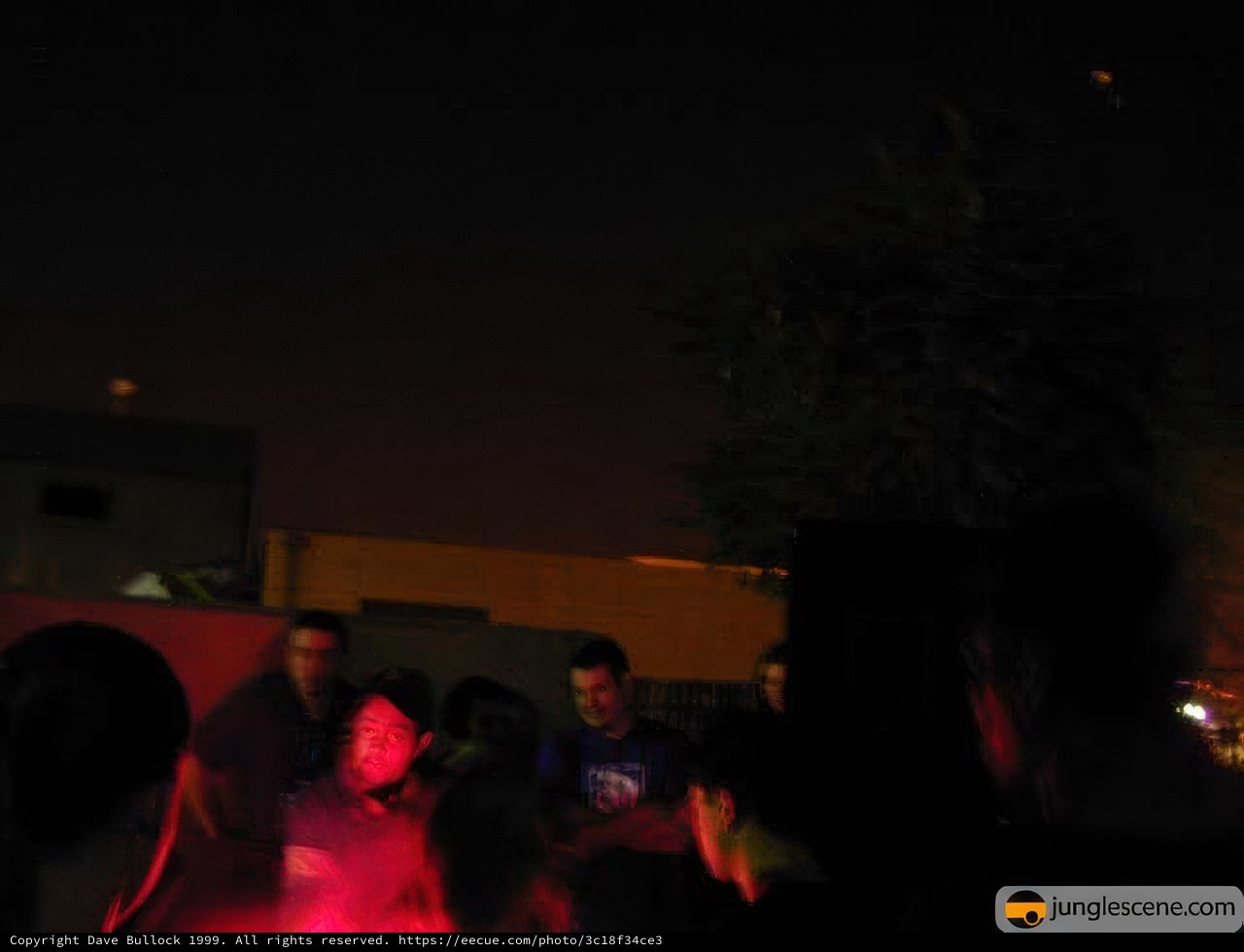 Nightclubbing in the Wild