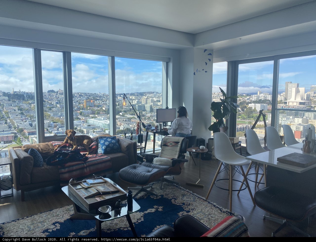 City Views from a Penthouse Living Room