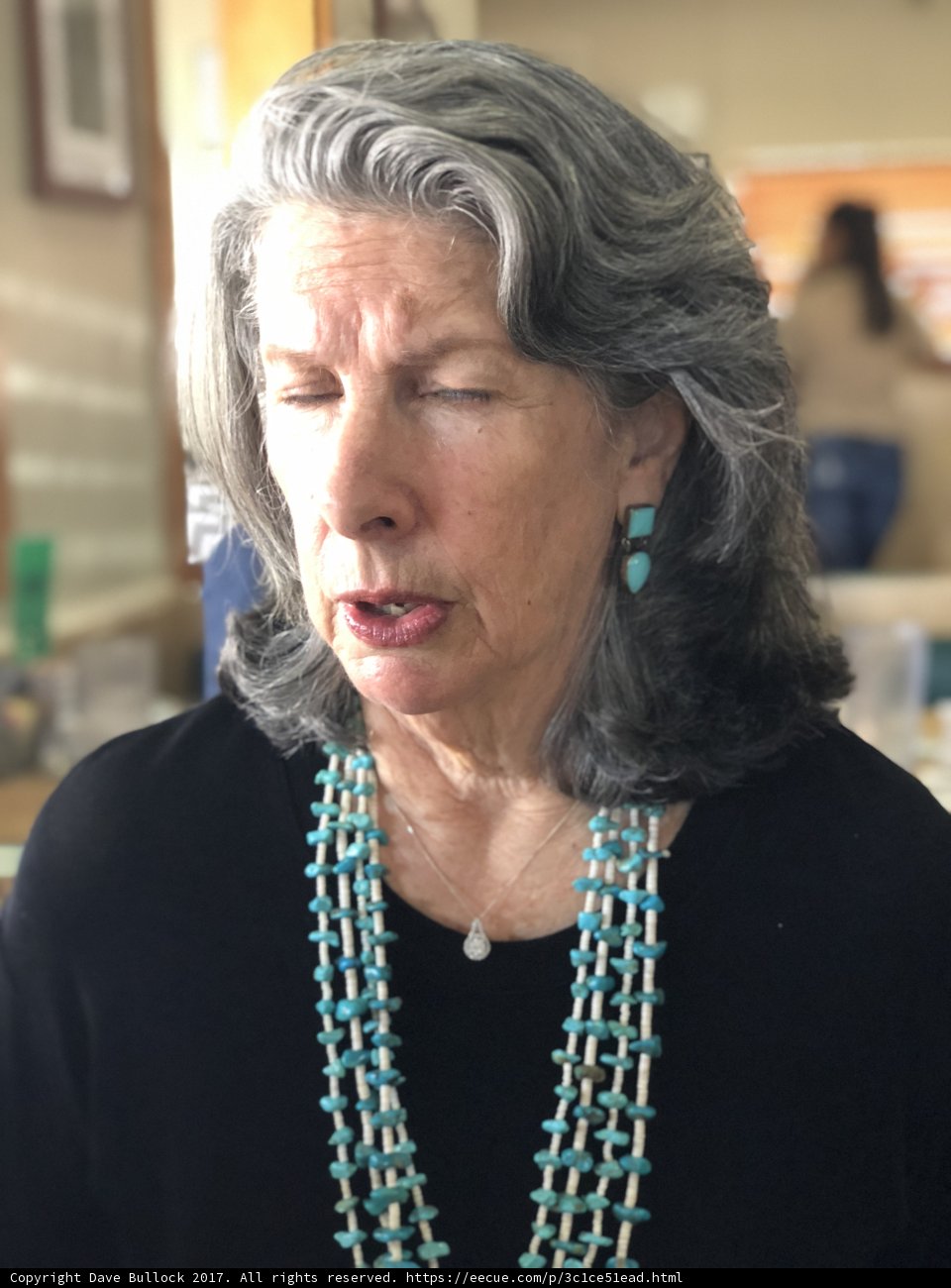 Turquoise Bead Necklace