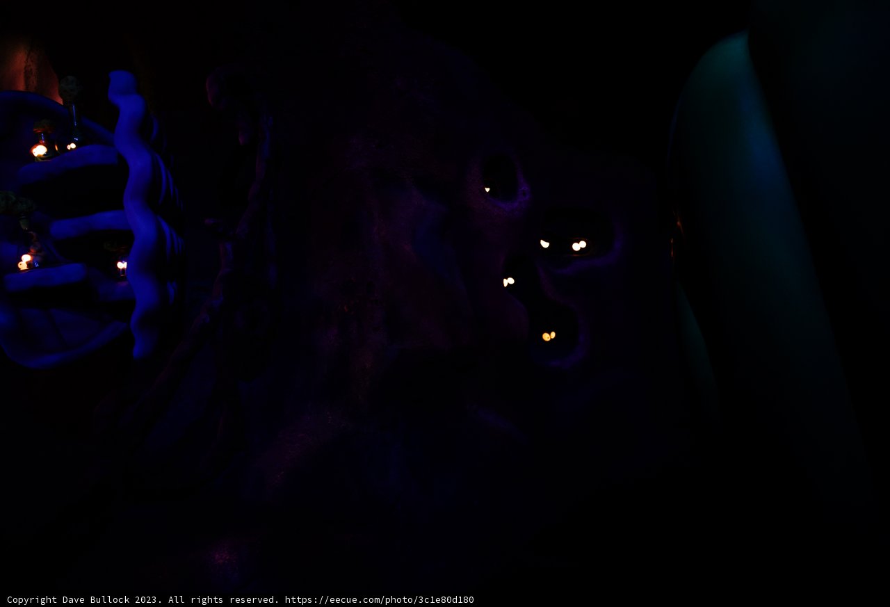 Magical Moments in Disneyland's Dark Room