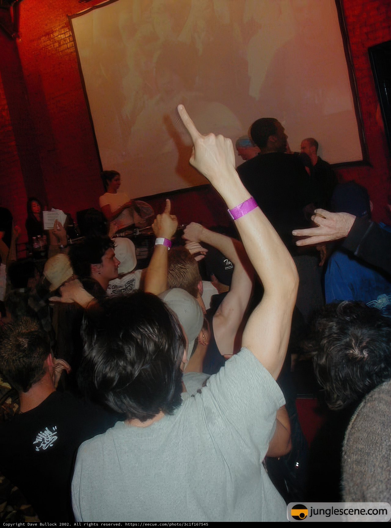 Nightclub Fever
