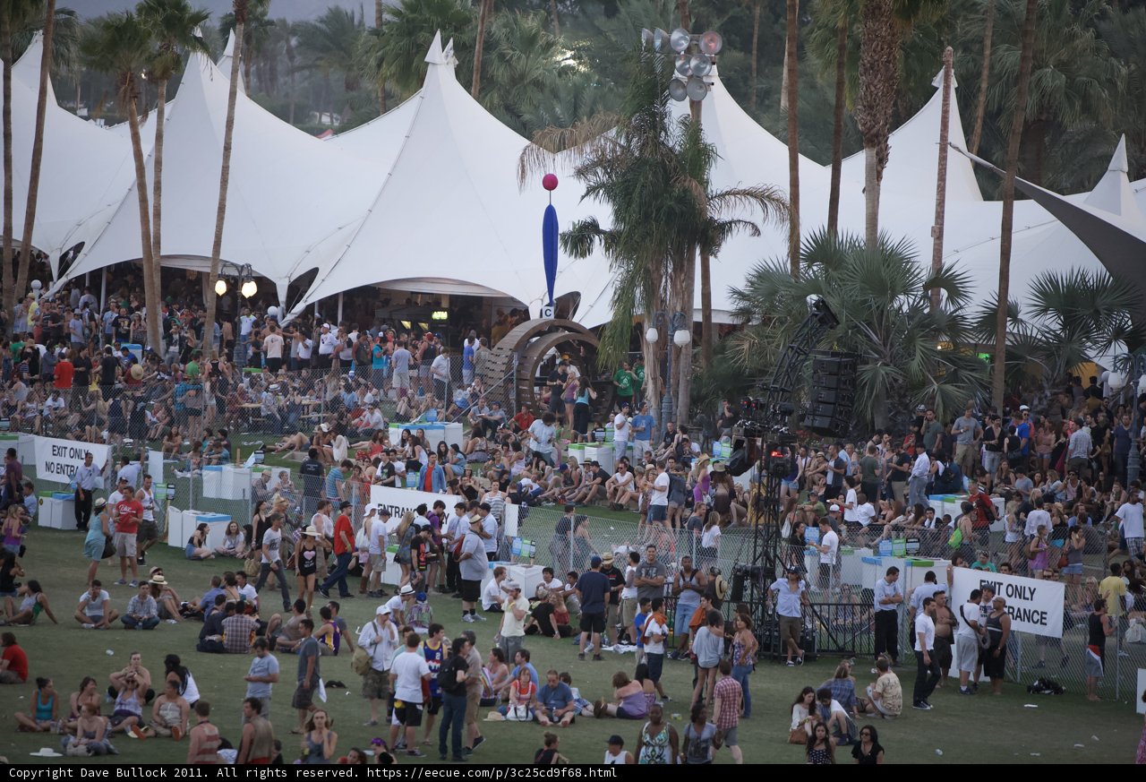 Festival Fever