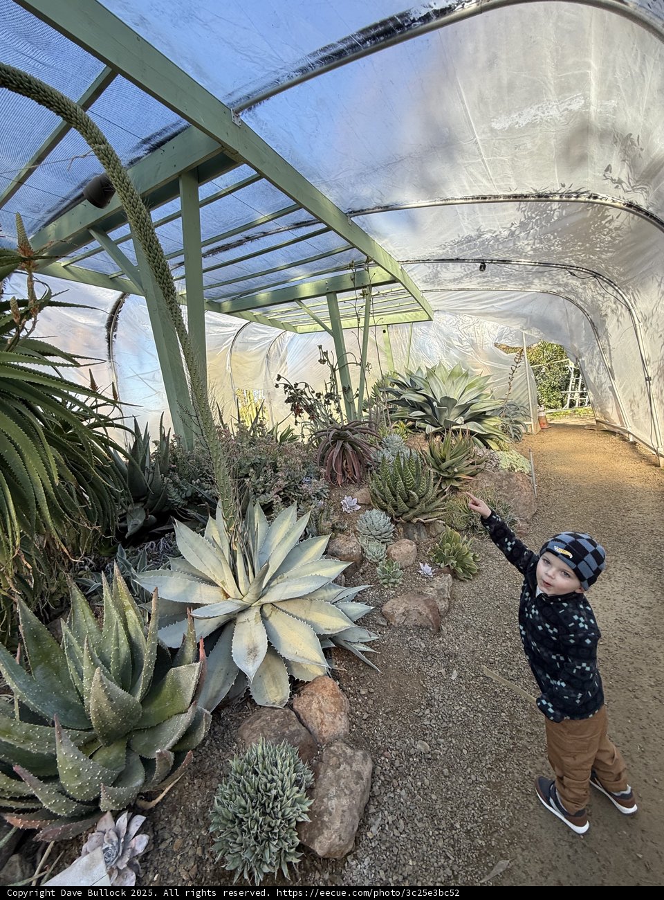 Exploring the Wonders of the Greenhouse