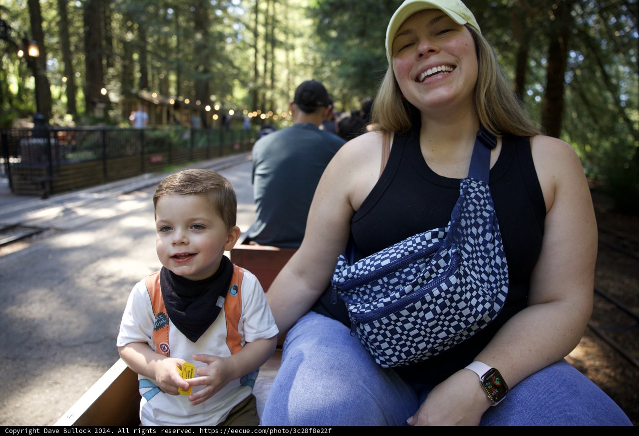 Joyful Afternoon in Walnut Creek
