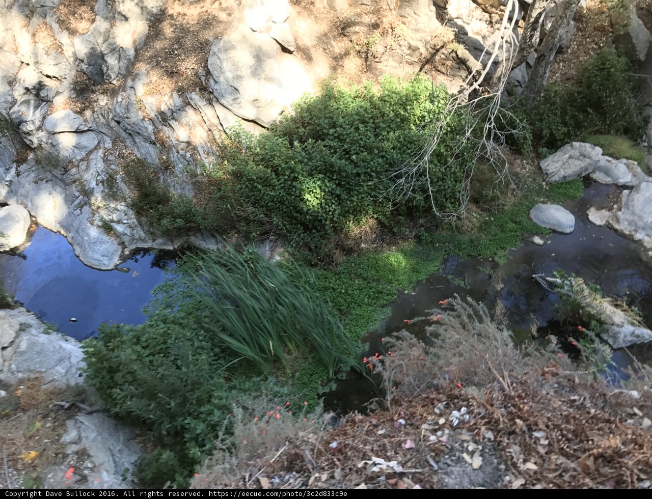 Serenity in the Angeles National Forest