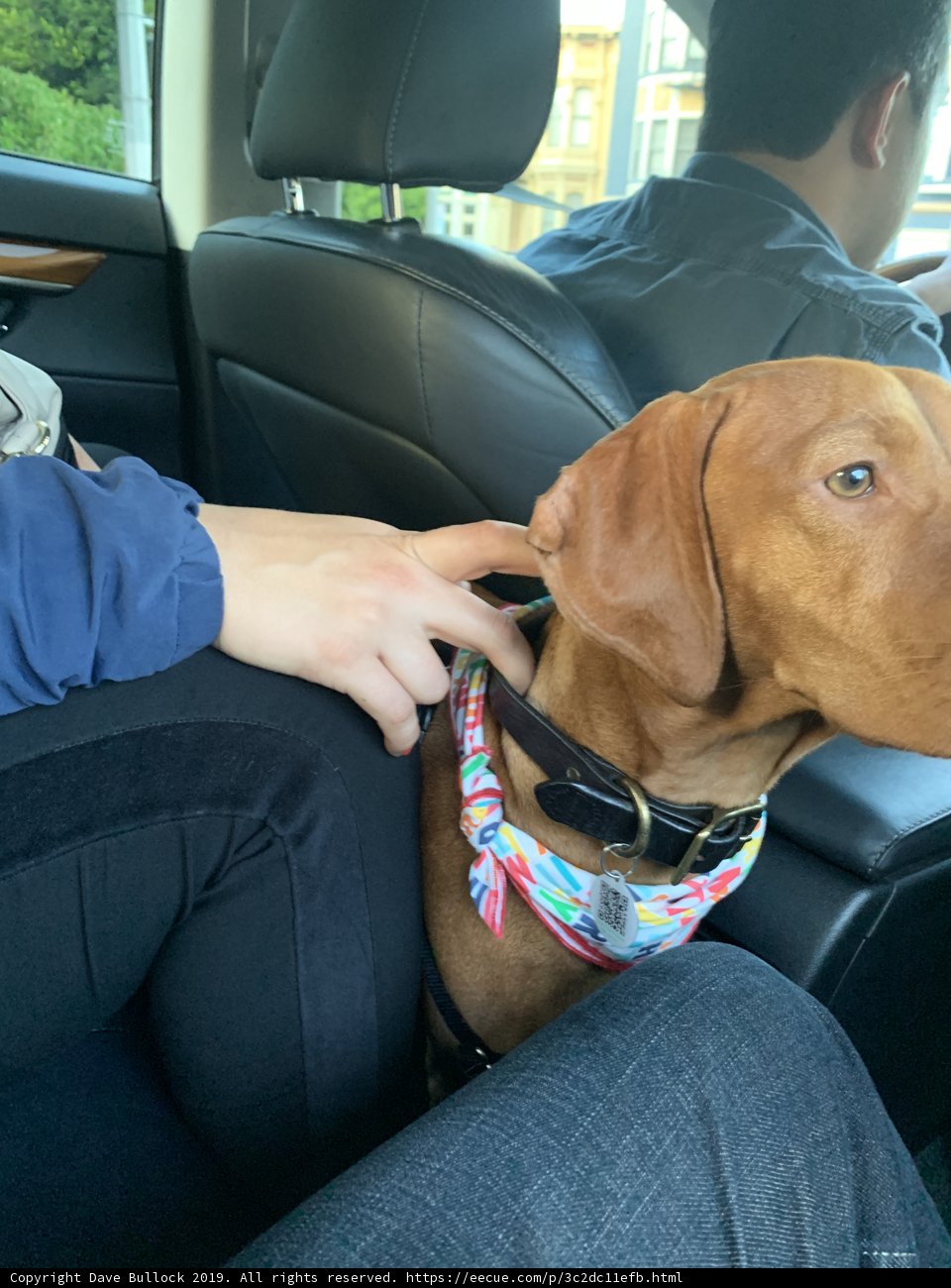 Road Trip Buddy