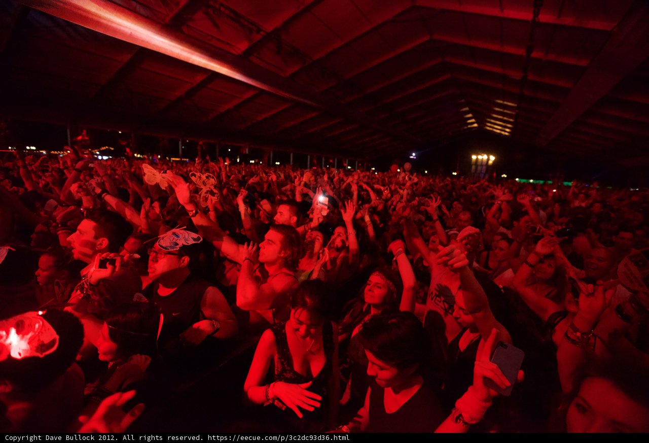 Coachella 2012 Crowd Goes Wild