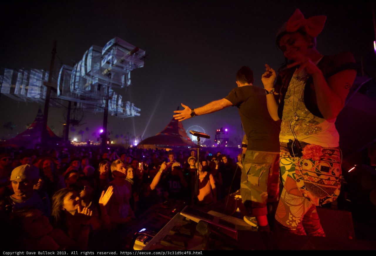 The Man and the Crowd at Coachella