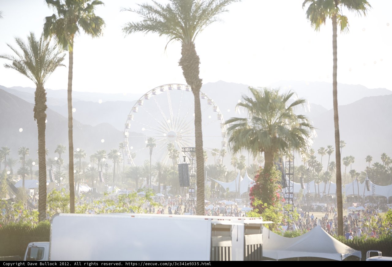 Summer Fun at Coachella