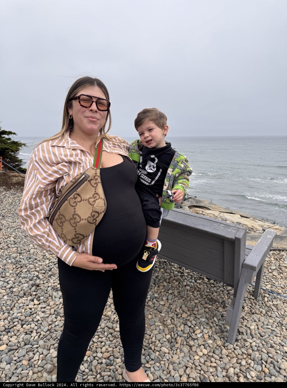 Coastal Moments in Moss Beach