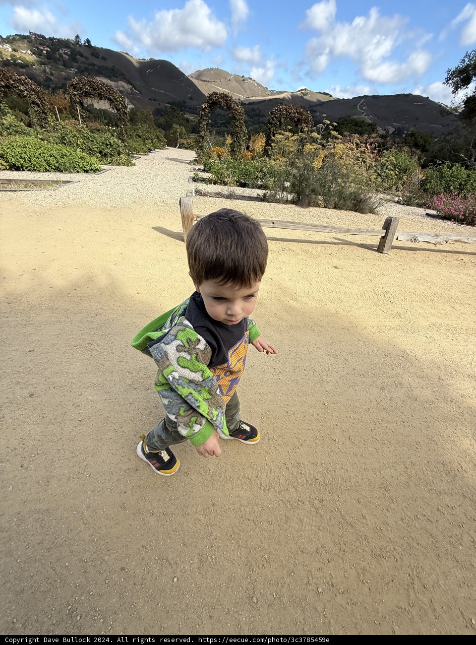 Strolling Through Adventure