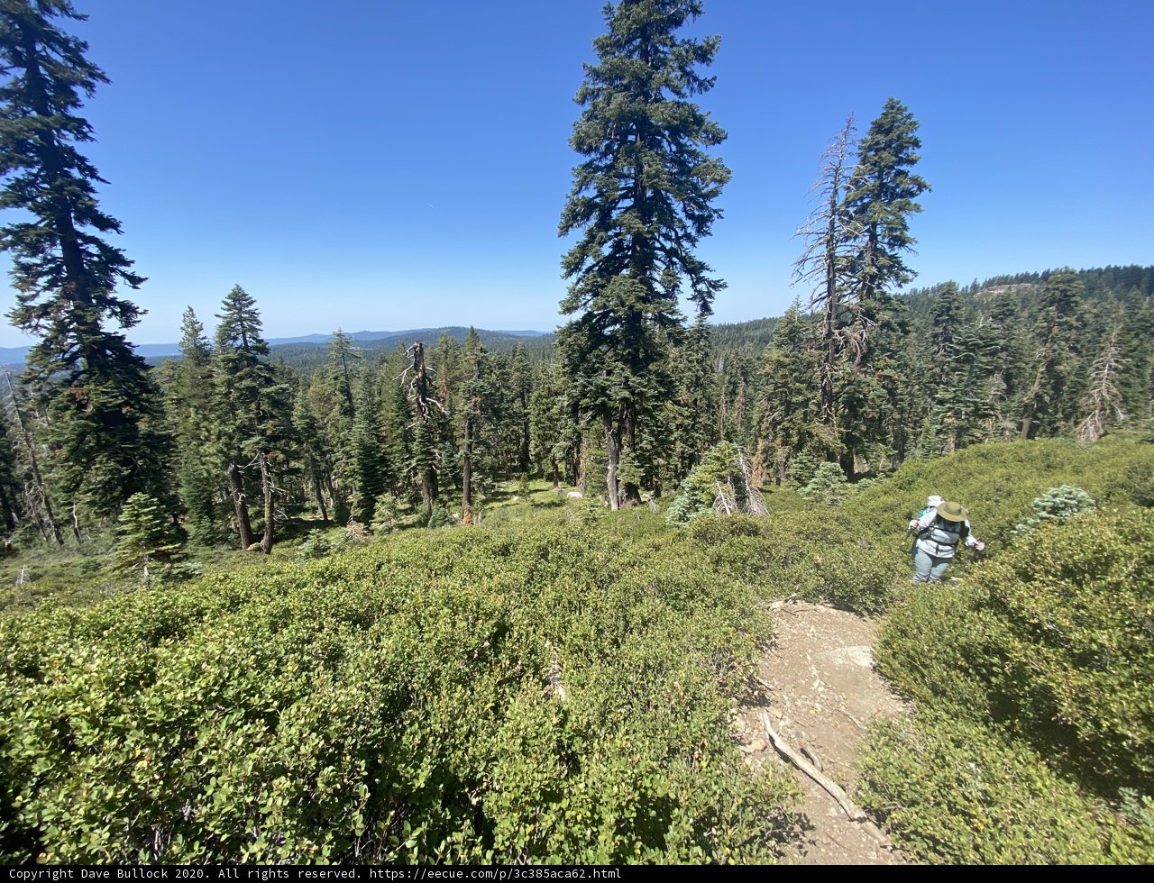 Riding Through the Wilderness