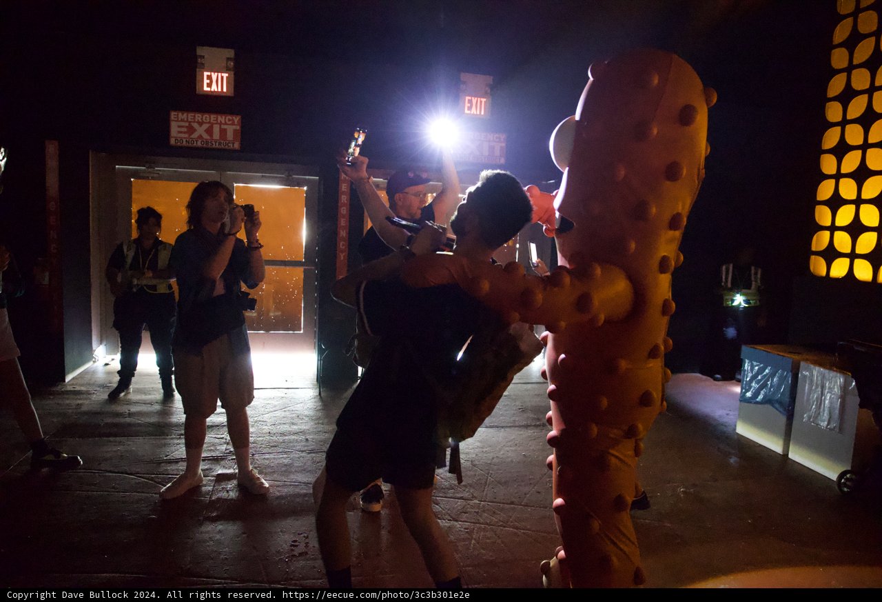 Enigmatic Nights at Coachella 2024