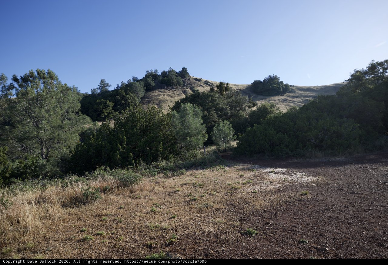 Sunlit Hills and Chaparral at Mount Diablo