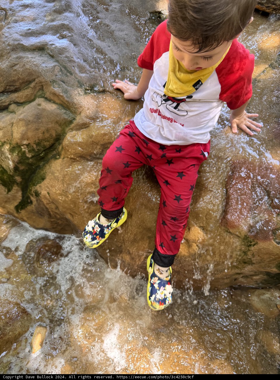**Splashing Through Summer**