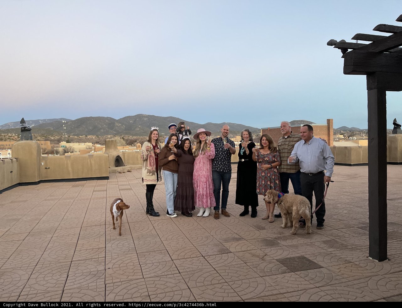 Patio Gathering with Furry Friends