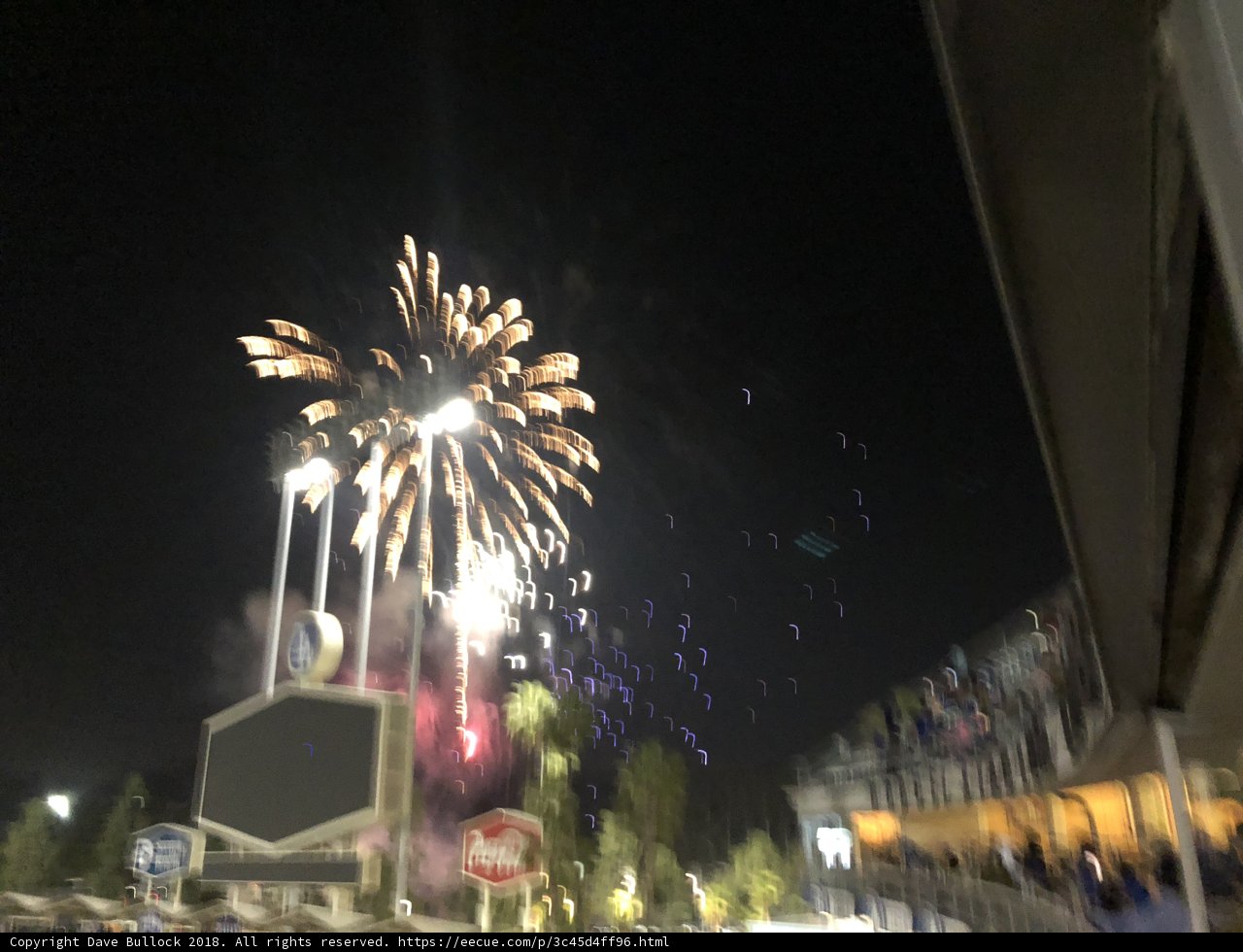 Fireworks in Motion