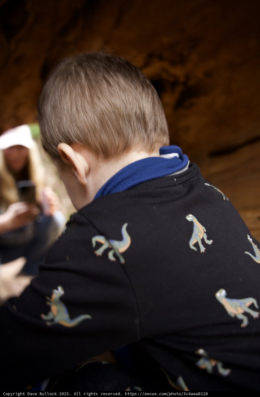 Digital Native in Golden Gate Park