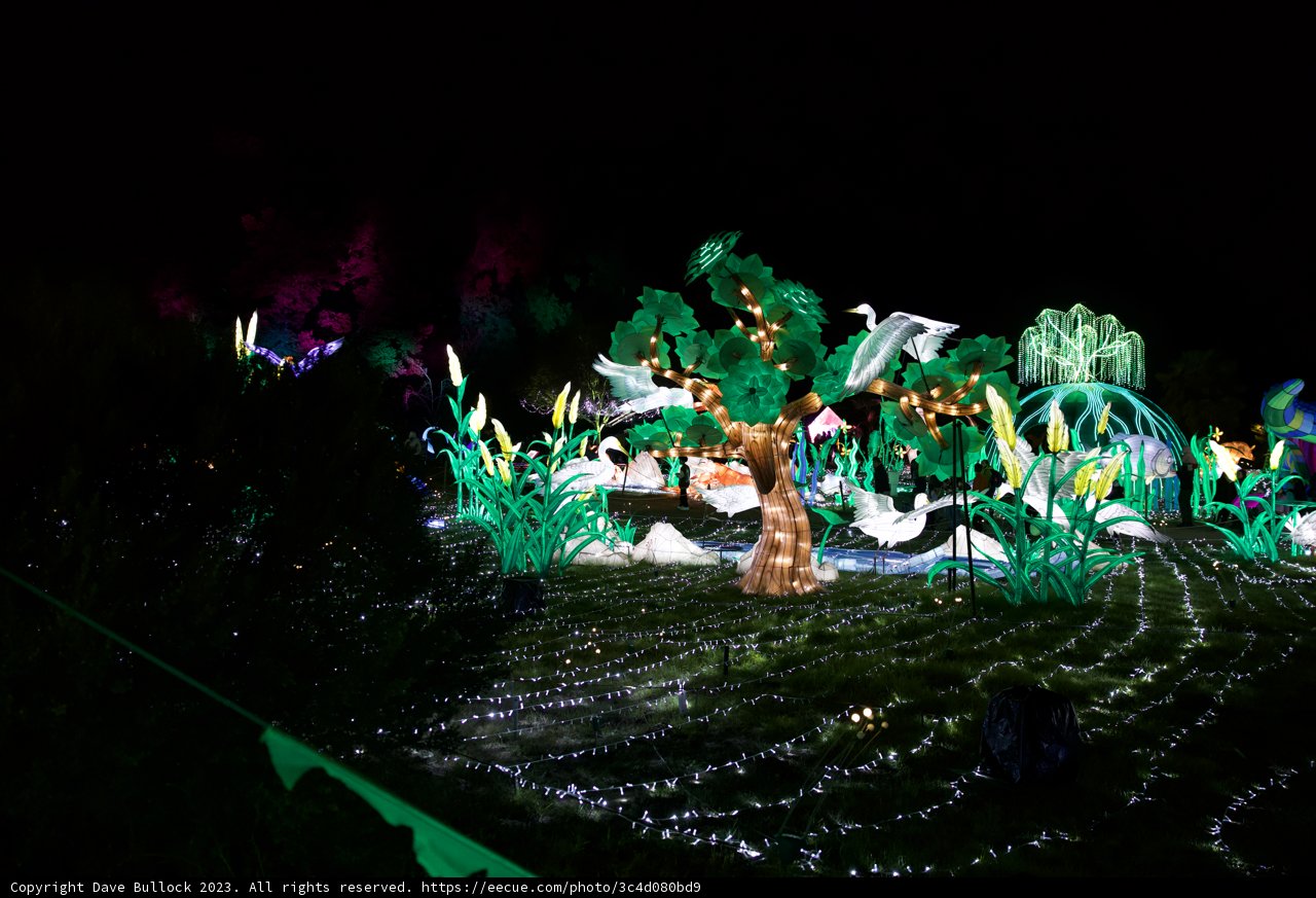 Illuminated Wildlife Festival at Oakland Zoo
