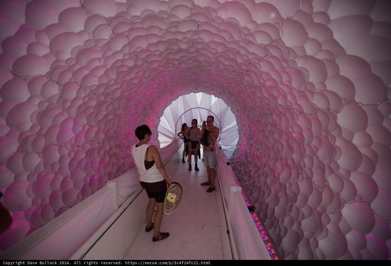 Pink Balloon Tunnel