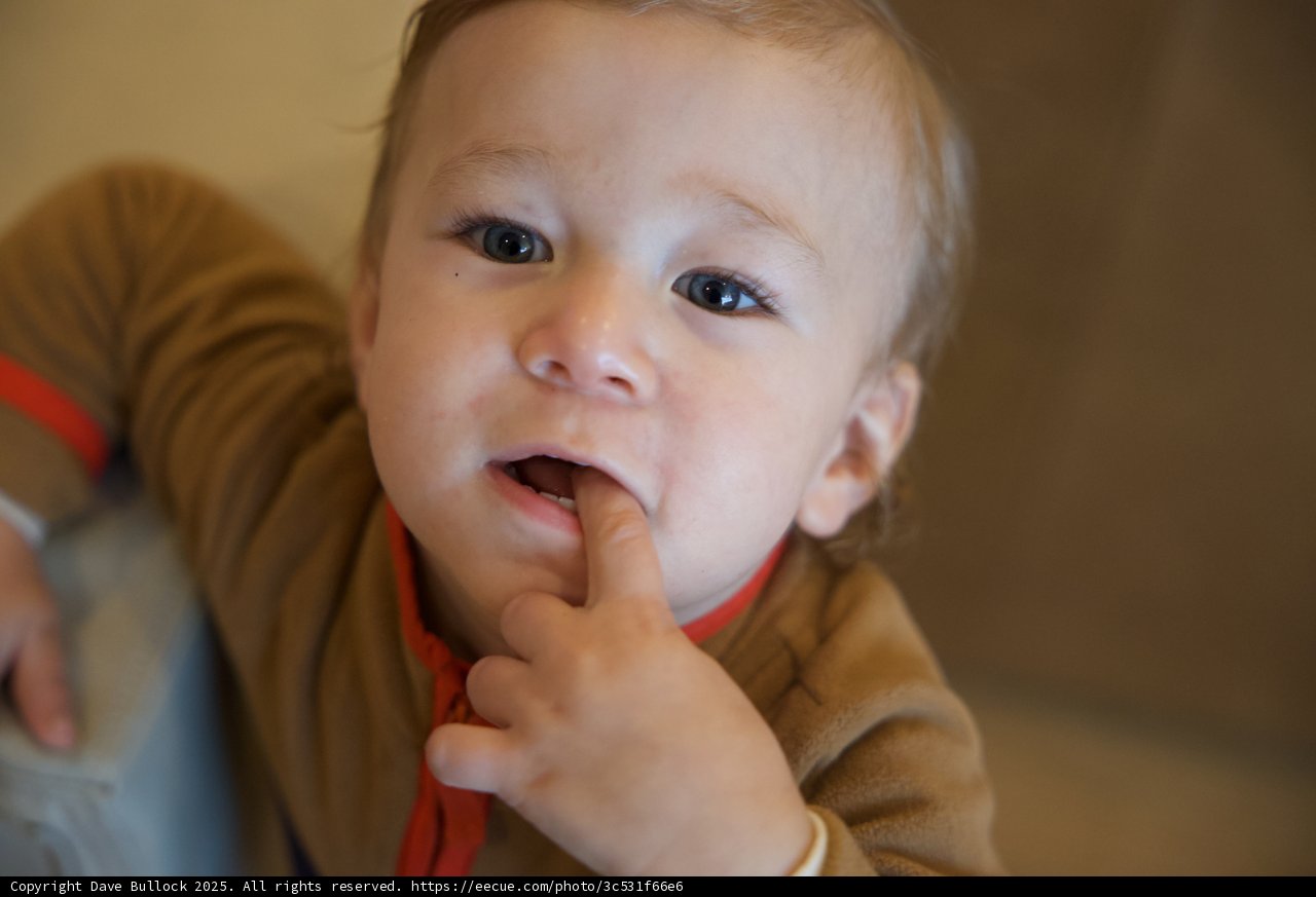 Curious Moments at Thistlewyck