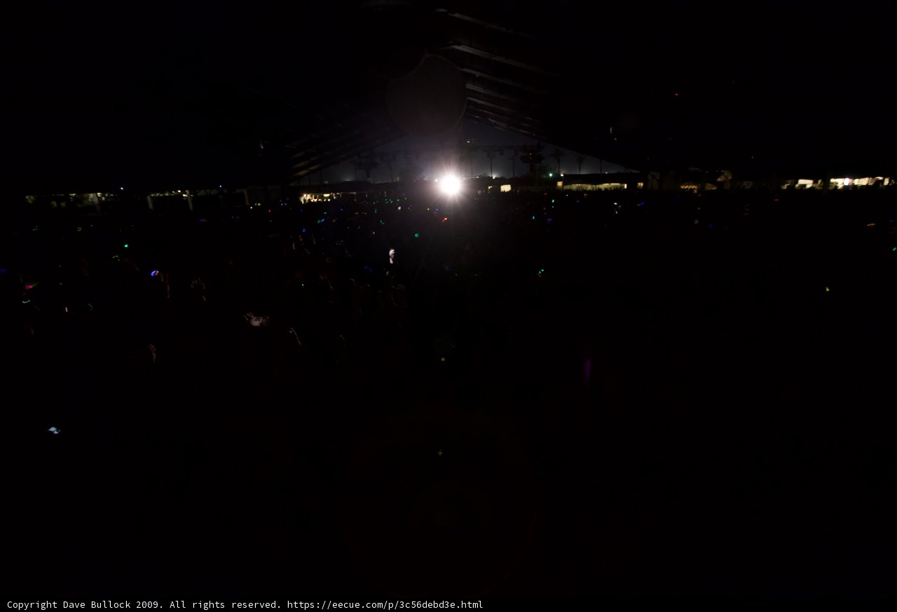 Electric Crowd at Coachella
