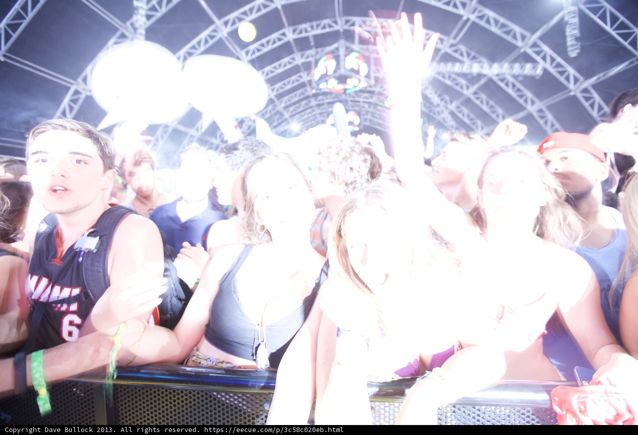 Coachella Crowd Goes Wild