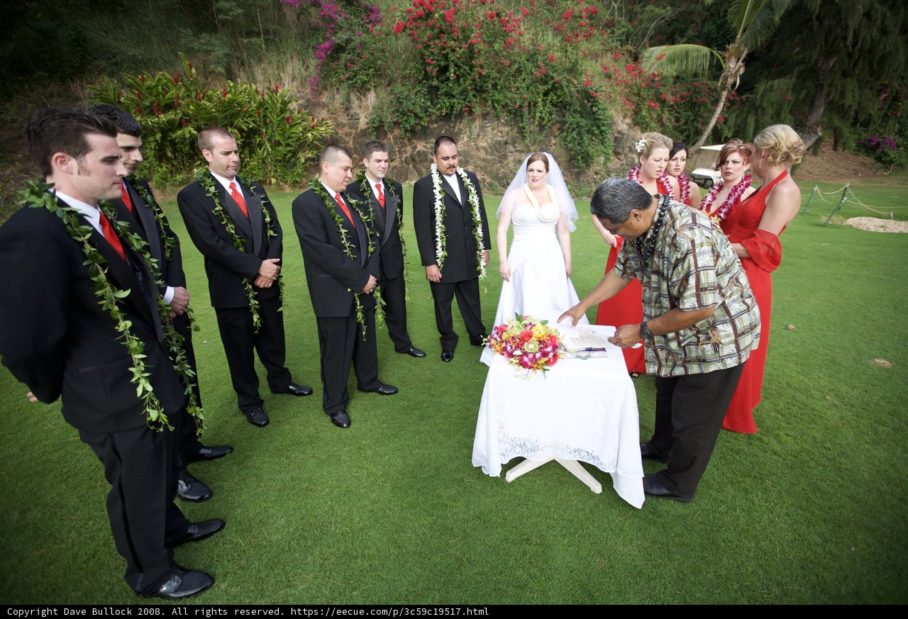 Wedding Cake Cutting in Hawaii