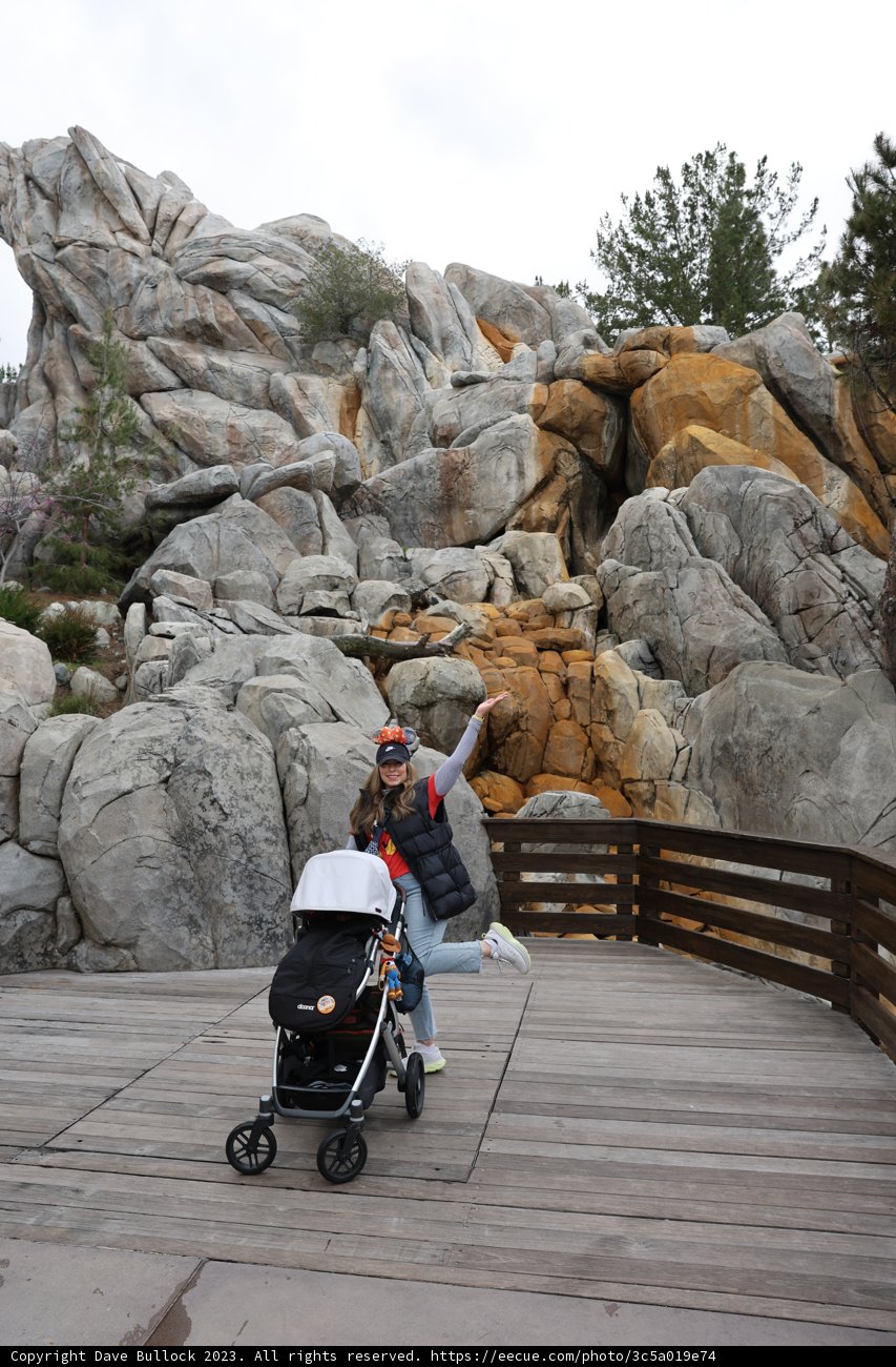 A Stroll Through Nature