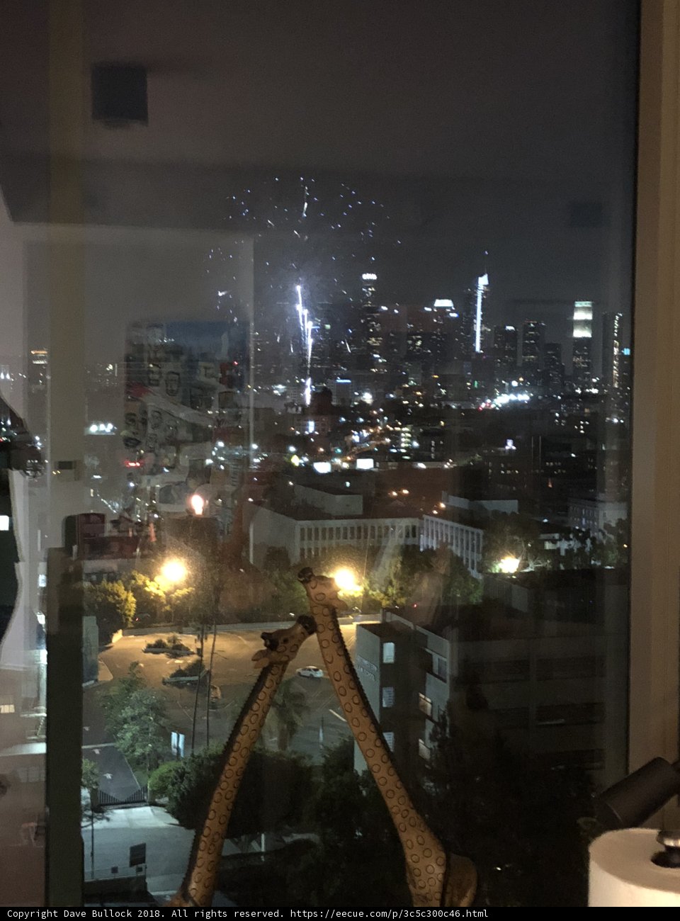 City Lights and Fireworks