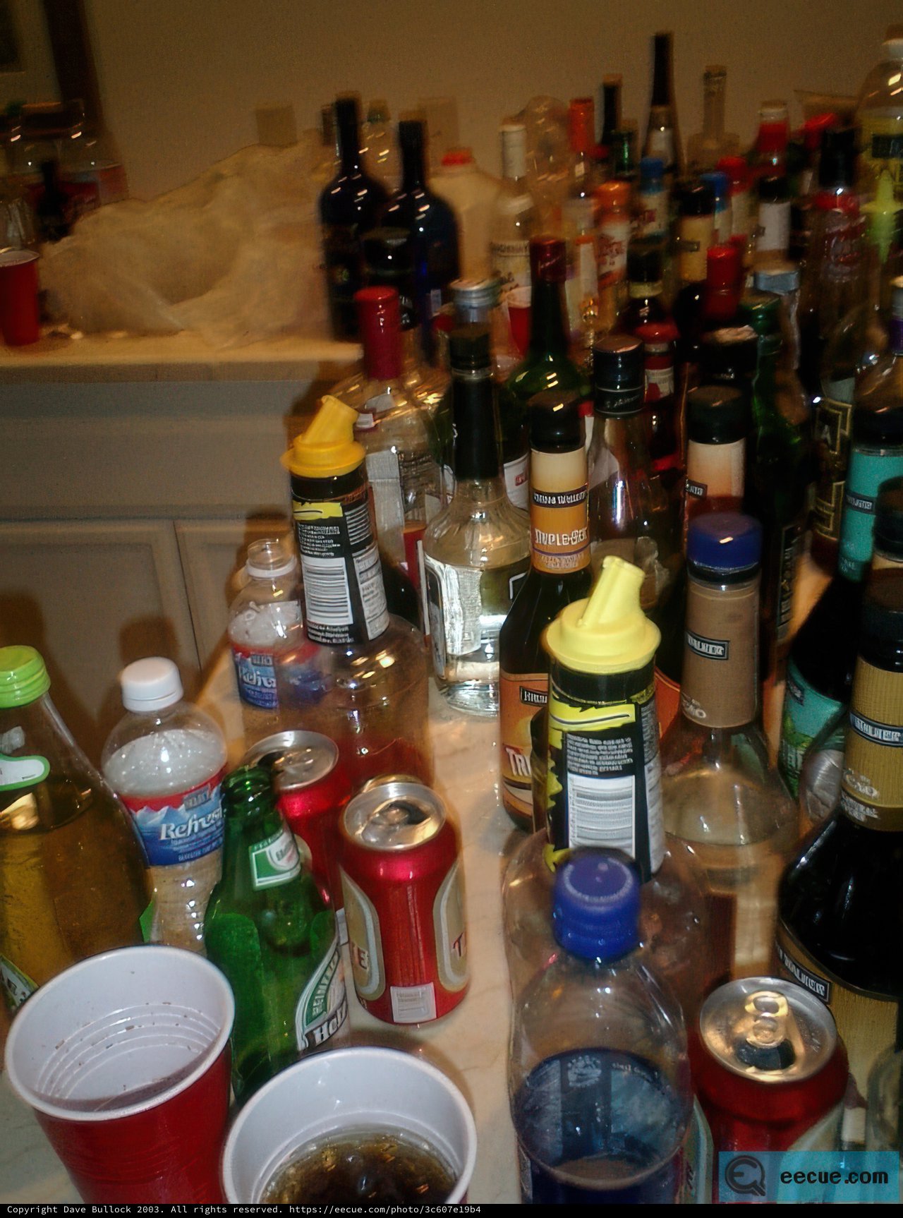 Booze Bonanza of 2002