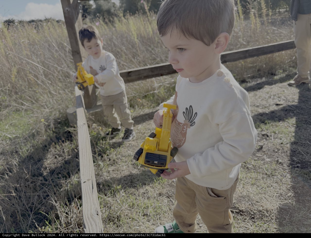 Children Playing with Yellow Toy Trucks Outdoors