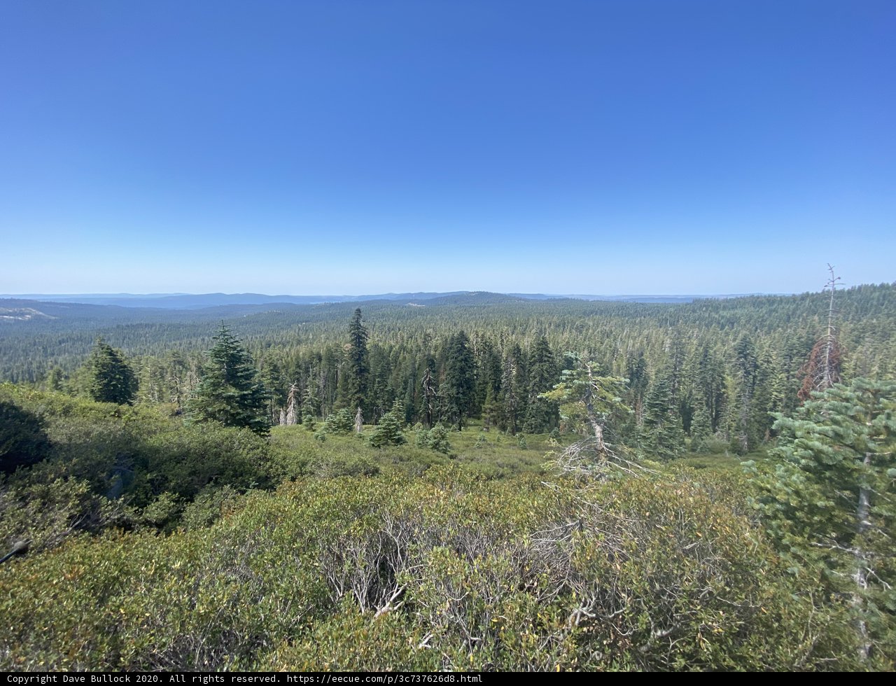 View from the Top
