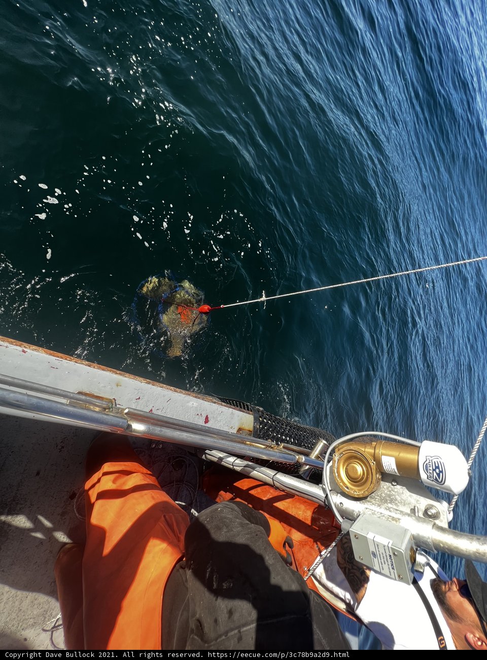 A day of fishing on the Gulf of the Farallones