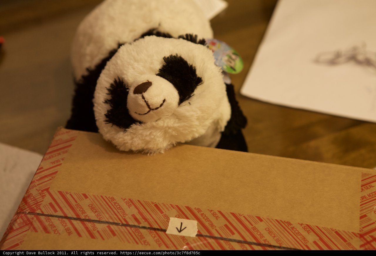Panda Bear Box Buddy