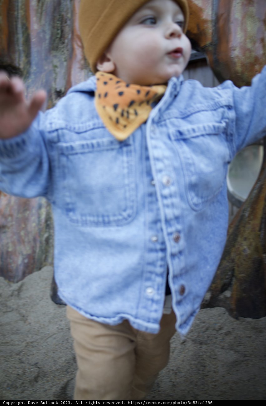 A Day Out at SF Zoo with Little Wesley