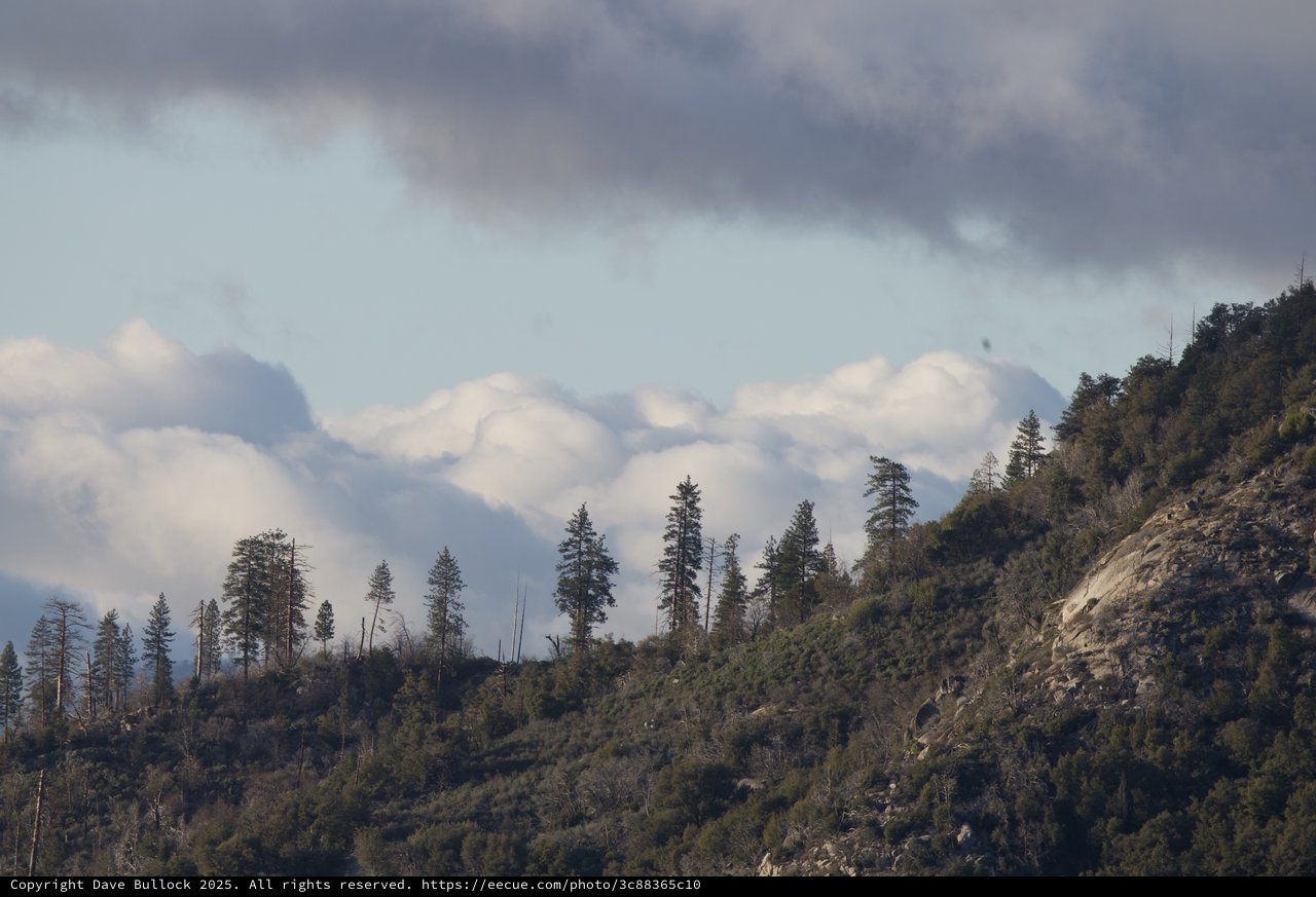 Storm Clouds Over Mountain Ridge with Pine Trees