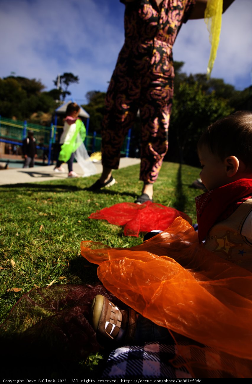 Wesley's First Birthday in Blue Skies