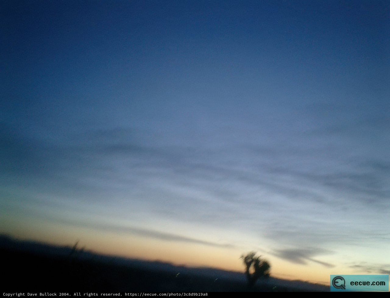Blurry Sunset with Tree Silhouette