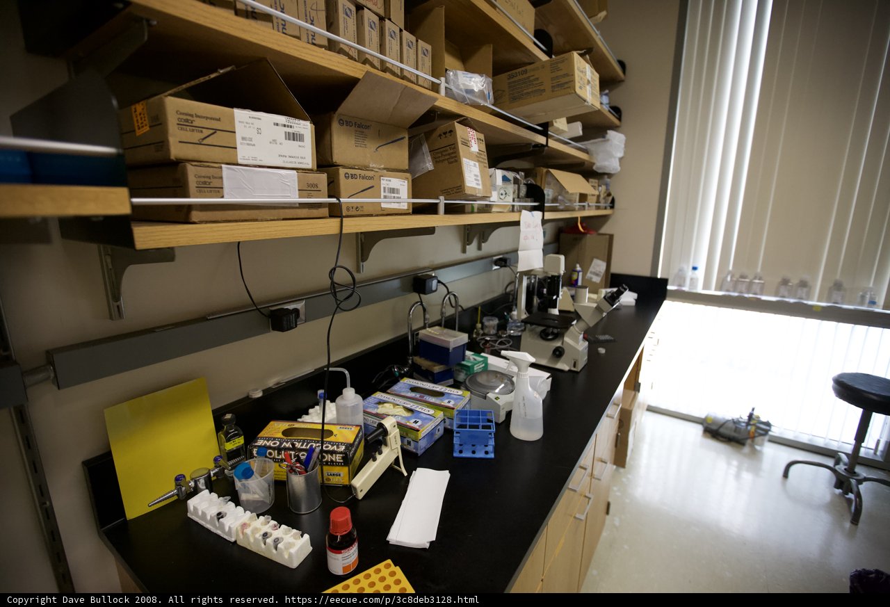 Stocked Lab Room