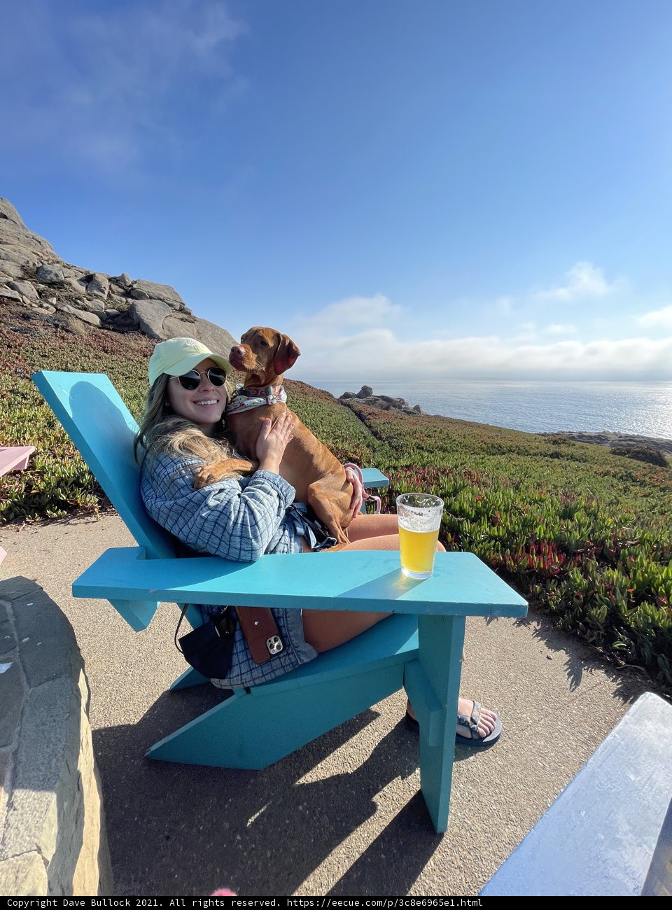 Woman and her Furry Companion Enjoy the Scenic Beauty of Jenner