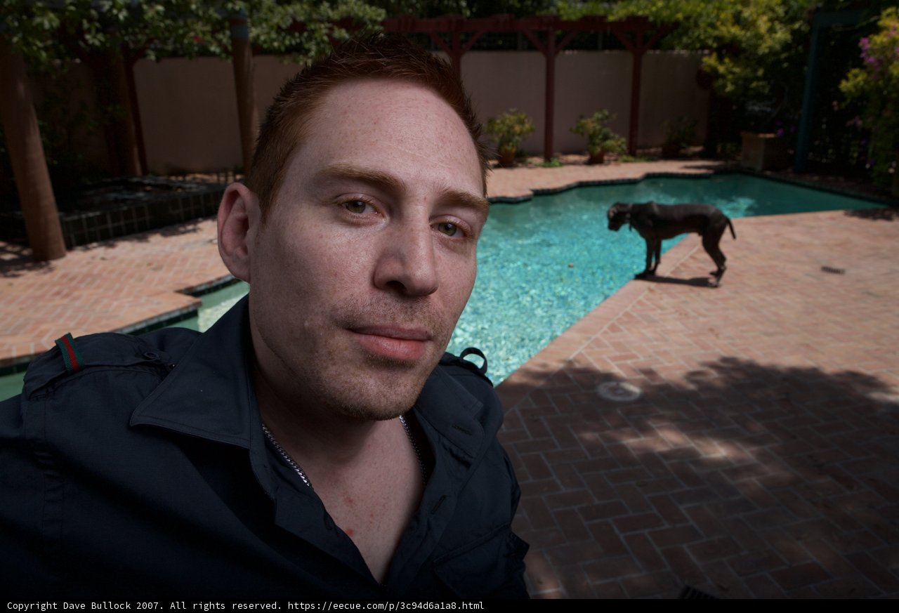 Man and Dog by the Pool