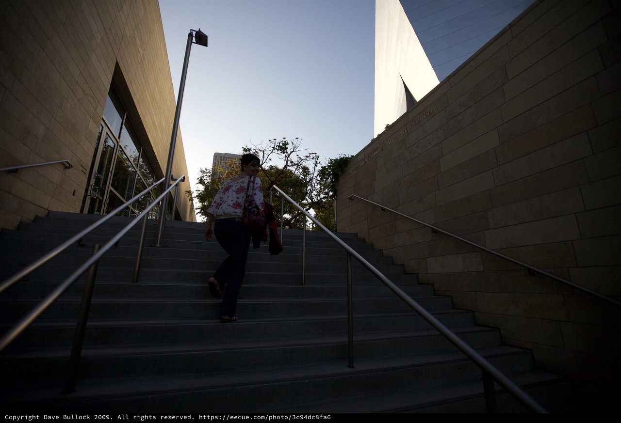 Ascending the Steps of a California Cultural Institution