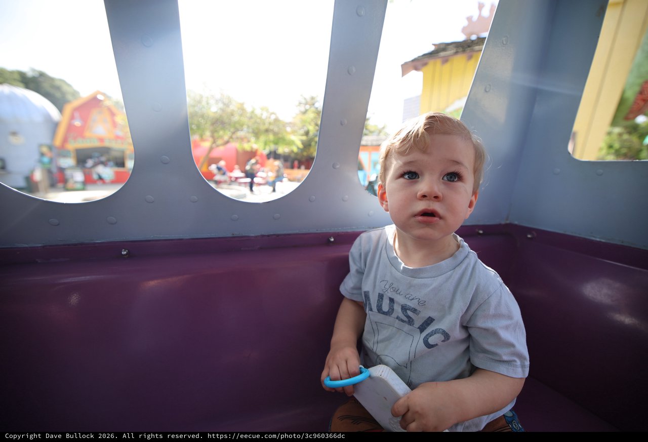 Young Child Enjoying a Theme Park Ride at Disneyland