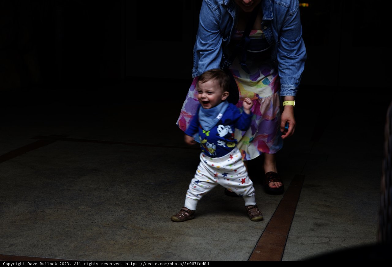 Family Adventure at Disneyland